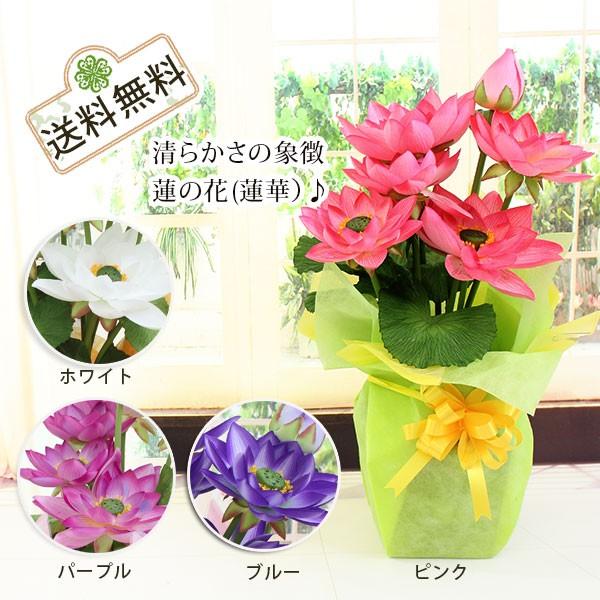 ロータス 蓮華造花 フラワー アーティフィシャルフラワー アートフラワー 光触媒 花 フラワー ギフト 贈り物 プレゼント お祝い H7743 花と緑のはなここ 通販 Yahoo ショッピング