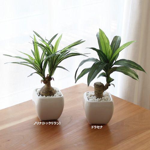 人工観葉植物 ドラセナマッサン インテリア プレゼント 室内 Hgla 1225 花と緑のはなここ 通販 Yahoo ショッピング