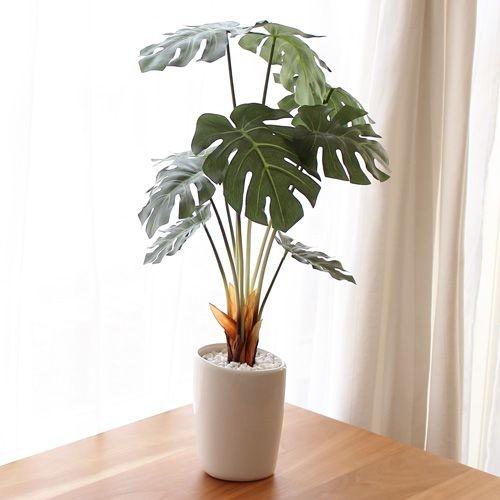 人工観葉植物 モンステラ インテリア プレゼント 室内 Hgla 1228b 花と緑のはなここ 通販 Yahoo ショッピング