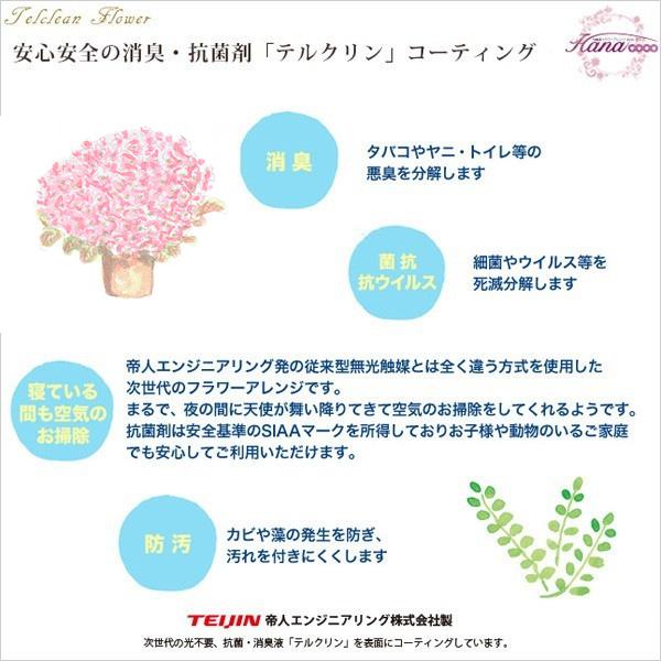 遅れてごめんね母の日 カーネーション 選べる生花と造花 生花５号カーネーション ケーキフラワー 各種フラワーアレンジ｜hana-coco｜09