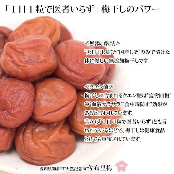 梅干し ねりうめ 天然記念物 佐布里梅 900g150g 6個 無着色 無添加
