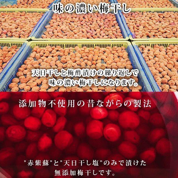 梅干し ねりうめ 天然記念物 佐布里梅 900g150g 6個 無着色 無添加