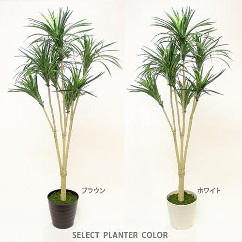 人工観葉植物 フェイクグリーン ドラセナ 高さ155ｃｍ 消臭抗菌加工 造花 インテリア 室内装飾 ディスプレイ お祝い 開店祝い 新築祝い