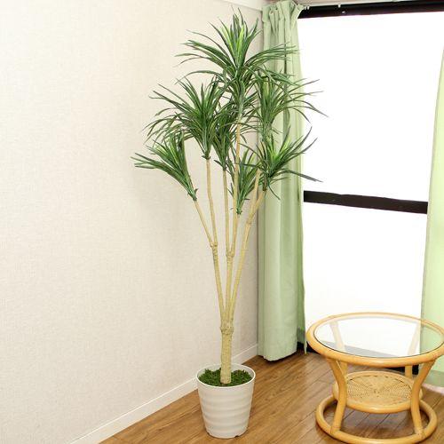 人工観葉植物 フェイクグリーン ドラセナ 高さ155ｃｍ 消臭抗菌加工 造花 インテリア 室内装飾 ディスプレイ お祝い 開店祝い 新築祝い_1