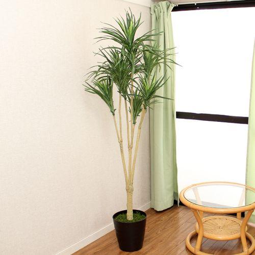 人工観葉植物 フェイクグリーン ドラセナ 高さ155ｃｍ 消臭抗菌加工 造花 インテリア 室内装飾 ディスプレイ お祝い 開店祝い 新築祝い_2
