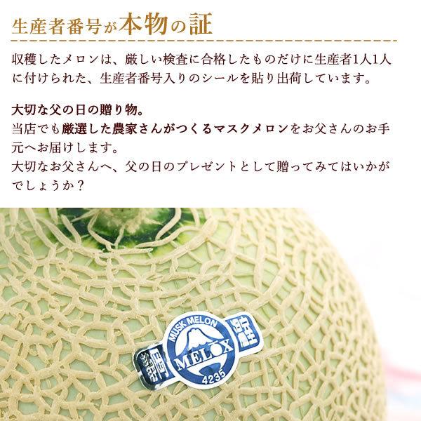 父の日 プレゼント ギフト メロン 静岡産  花束 プレゼント 花 フルーツ ひまわり グルメ｜hana-collabo｜05