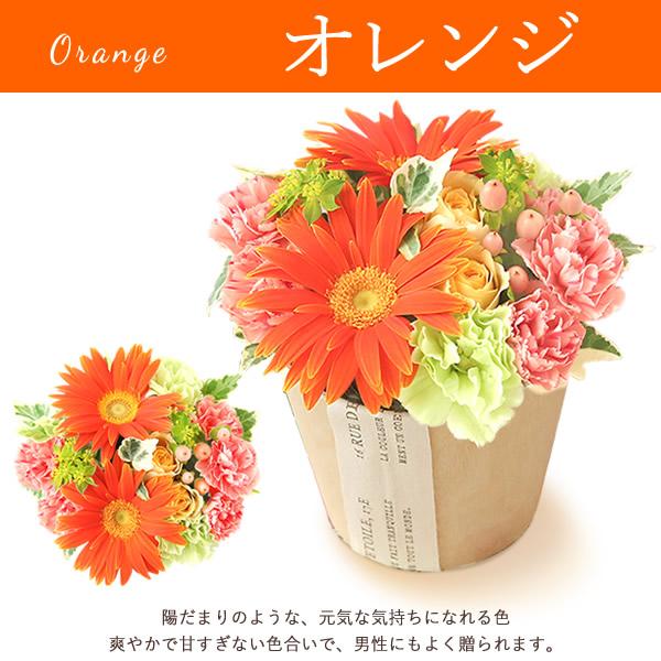 誕生日プレゼント 退職 プレゼント ガーベラ お菓子 女性 花 スイーツ 母 お祝い フラワーアレンジメント ギフト 花束 メッセージカード 40代 50代 60代 70代 :5-50290:プレゼントギフト 花コラボ - 通販 - Yahoo!ショッピング 誕生日プレゼント 退職 プレゼント ガーベラ お菓子 女性 花 スイーツ 母 お祝い フラワーアレンジメント ギフト 花束 メッセージカード 40代 50代 60代 70代 :5-50290:プレゼントギフト 花コラボ - 通販 - Yahoo!ショッピング