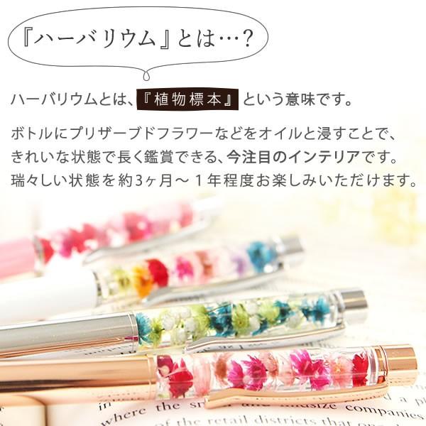 ハーバリウム ボールペン ギフト 贈り物 誕生日プレゼント 女性 お祝い 花 プチギフト 送料無料 ネコポス 40代 50代 60代 70代 5 508 プレゼント ギフト 花コラボ 通販 Yahoo ショッピング