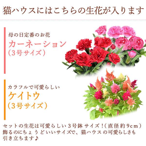 母の日 21 プレゼント 花とスイーツ 母の日ギフト カーネーション 鉢植え お菓子 ギフトランキング 猫 アニマル キャラクター メッセージ 50代 60代 70代 80代 Flower Jset プレゼント ギフト 花コラボ 通販 Yahoo ショッピング