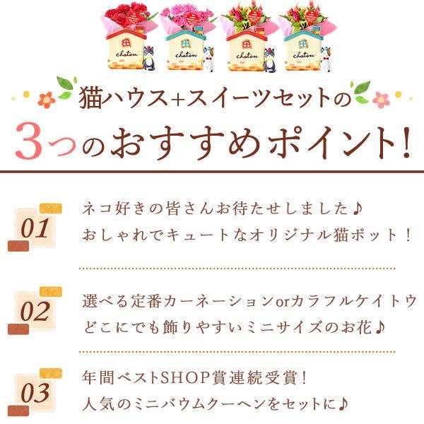 母の日 21 プレゼント 花とスイーツ 母の日ギフト カーネーション 鉢植え お菓子 ギフトランキング 猫 アニマル キャラクター メッセージ 50代 60代 70代 80代 Flower Jset プレゼント ギフト 花コラボ 通販 Yahoo ショッピング