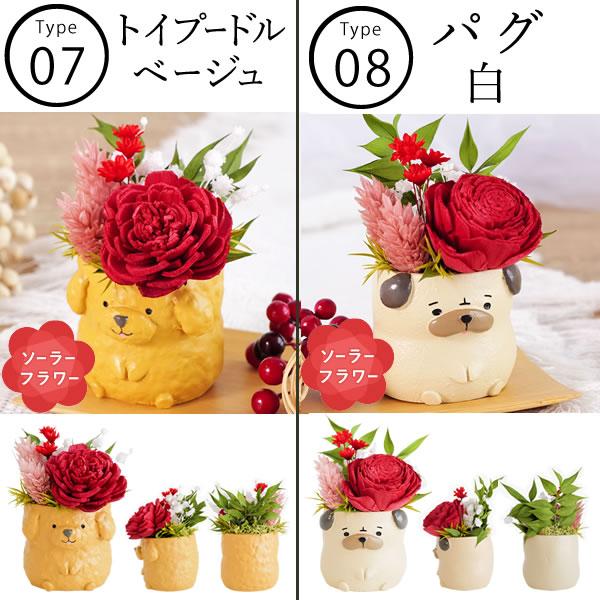 母の日 ギフト 花 花とスイーツ プリザーブドフラワー バラ スイーツ