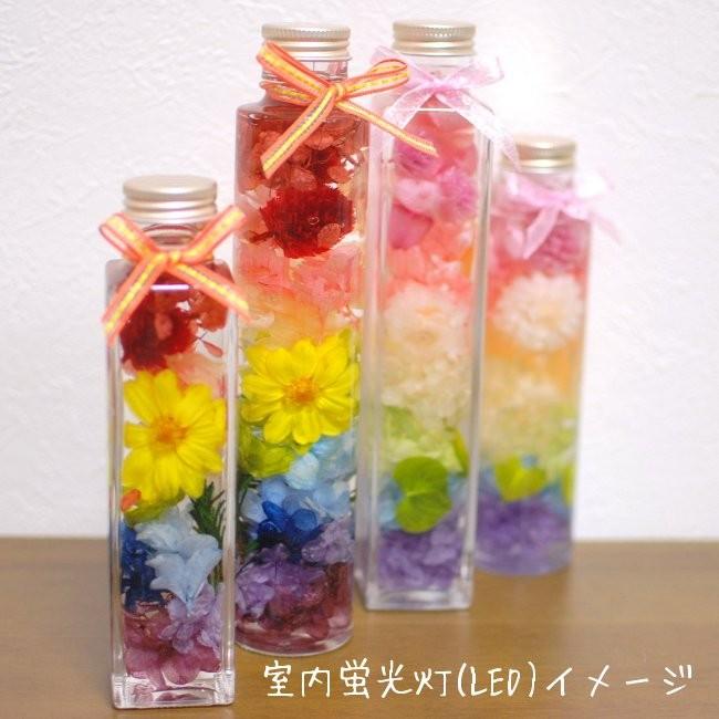 にじいろハーバリウム Lサイズ 200ml レインボー 虹色 母の日や誕生日