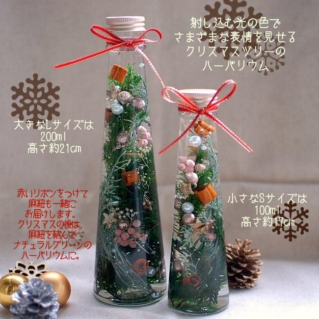 手作りキット クリスマスツリー ハーバリウム Lサイズ 0ml 送料無料 Kit 010 プリザーブドフラワーはなこ 通販 Yahoo ショッピング