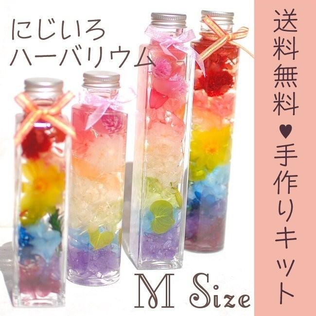 ハーバリウム手作りキット レインボーハーバリウム 送料無料 Ｍサイズ 150ml｜hana-hanaco