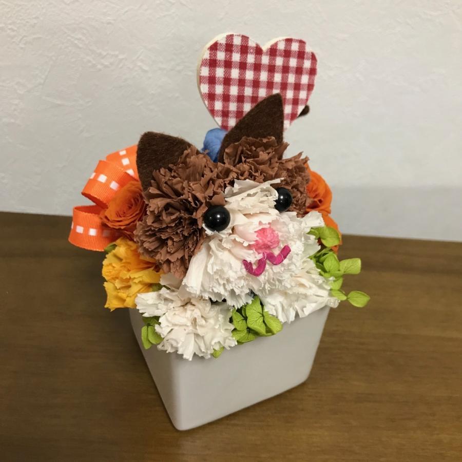 プードル プリザーブドフラワー カーネーションプードルアレンジ Mommypoodle チワワ ねこも作成可能 ケース入り 犬猫 St 009 プリザーブドフラワーはなこ 通販 Yahoo ショッピング