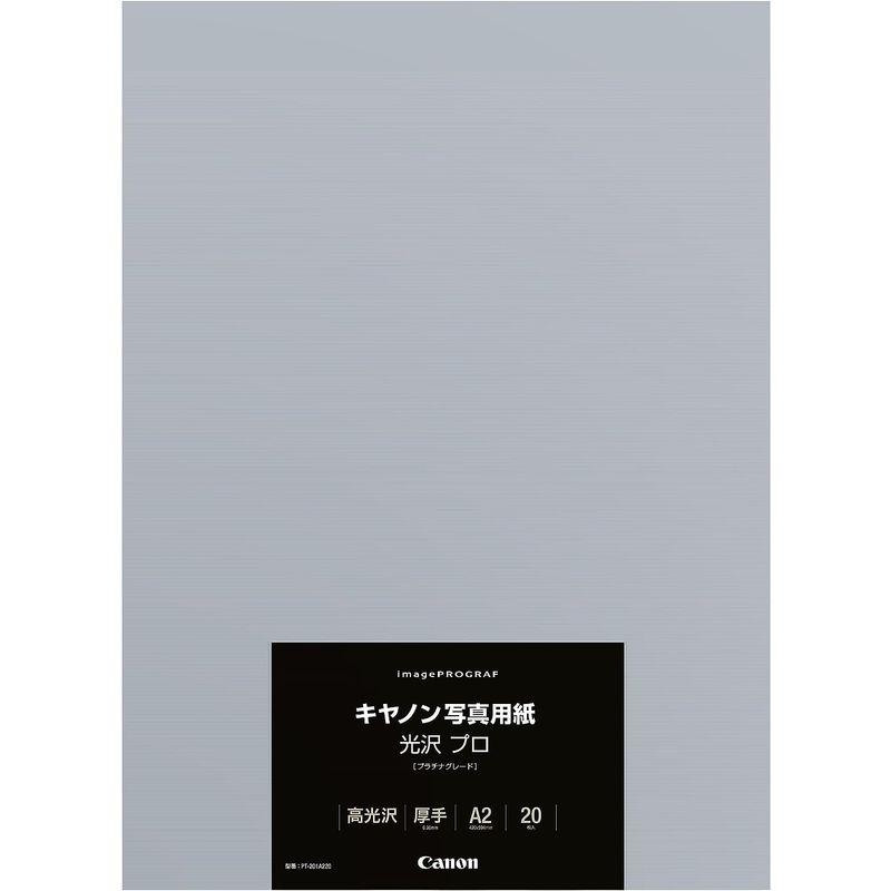 Canon　写真用紙・光沢　プロ　PT-201　A220