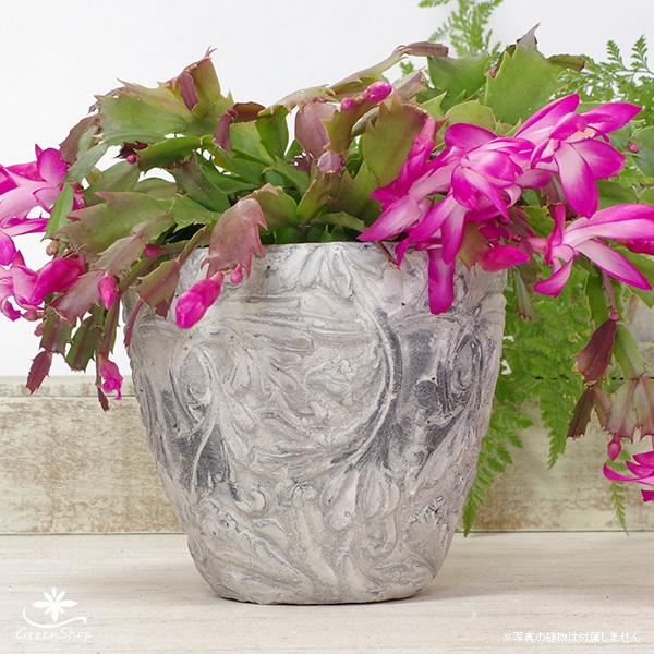 アラベスクポット 約5.5号 おしゃれ 植木鉢 陶器製 アンティーク風