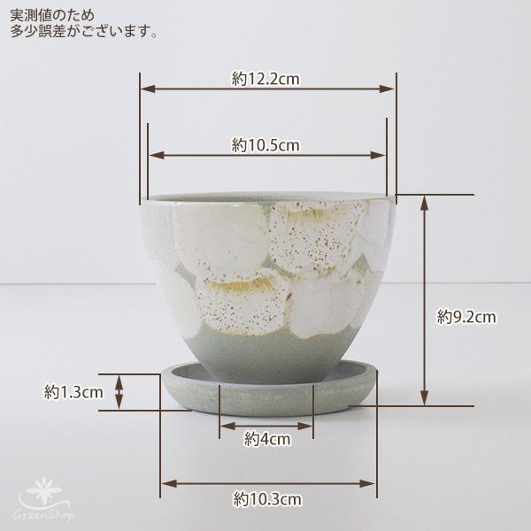 魯山人  信楽木の葉皿未使用識箱入り 魯山人 信楽木の葉皿未使用識箱入り