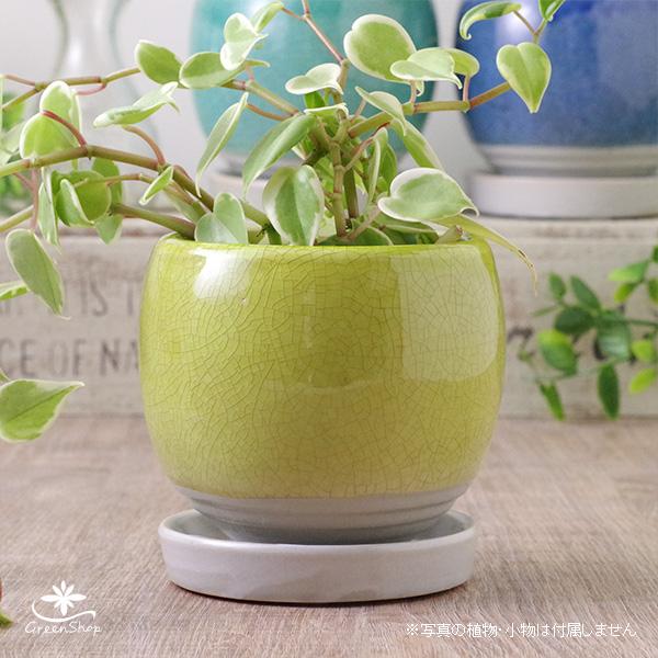 ポップカラー ラウンドポット 黄緑 約3号 受け皿付 おしゃれ 植木鉢 | 