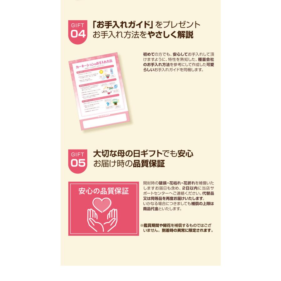 母の日 ギフト 花 カーネーション 2026 プレゼント 東北から関西まで送料無料 5号鉢 メッセージカード ギフトボックス付き | ブランド登録なし | 21