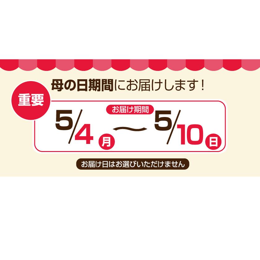 母の日 ギフト 花 カーネーション 2026 プレゼント 東北から関西まで送料無料 5号鉢 メッセージカード ギフトボックス付き | ブランド登録なし | 22