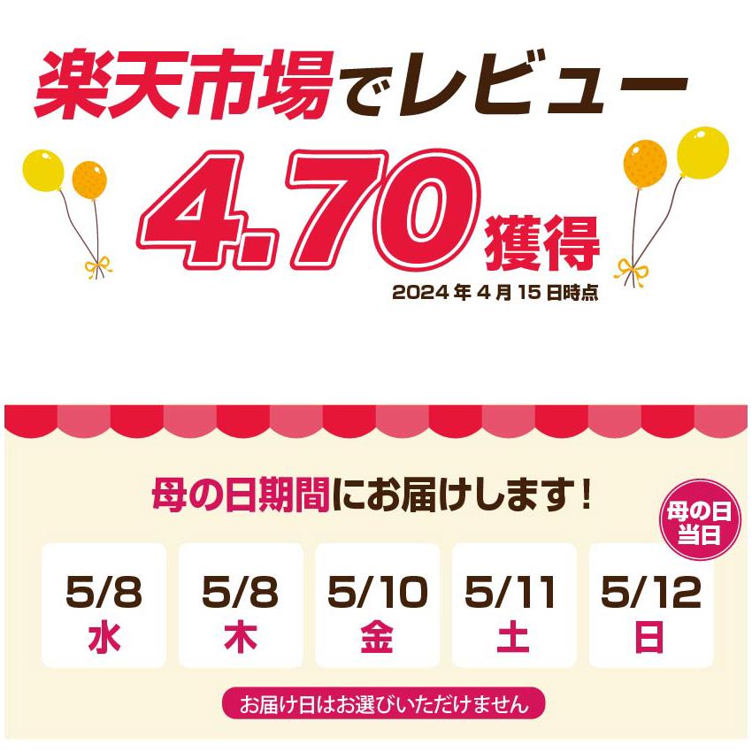 母の日 ギフト 花 カーネーション 2024 プレゼント 5号鉢  ギフトボックス付き 送料無料｜hana-kusamusubi｜12