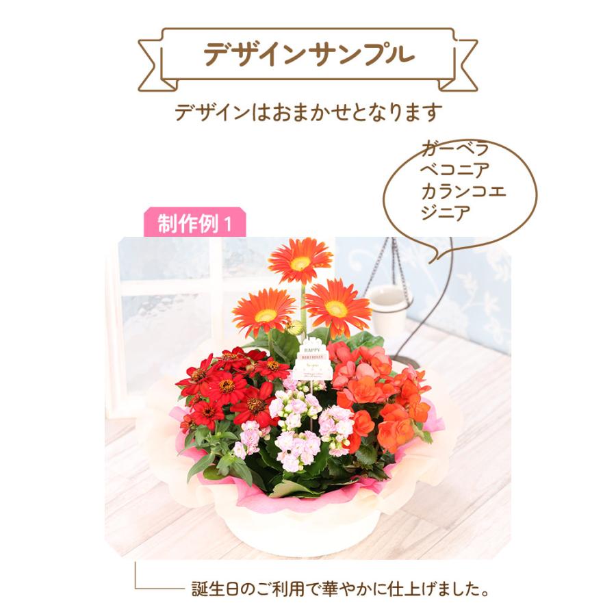 誕生日 花 プレゼント 2024 花鉢 ギフト ピック付き 4種でつくるおまかせ花かご 敬老の日｜hana-kusamusubi｜03