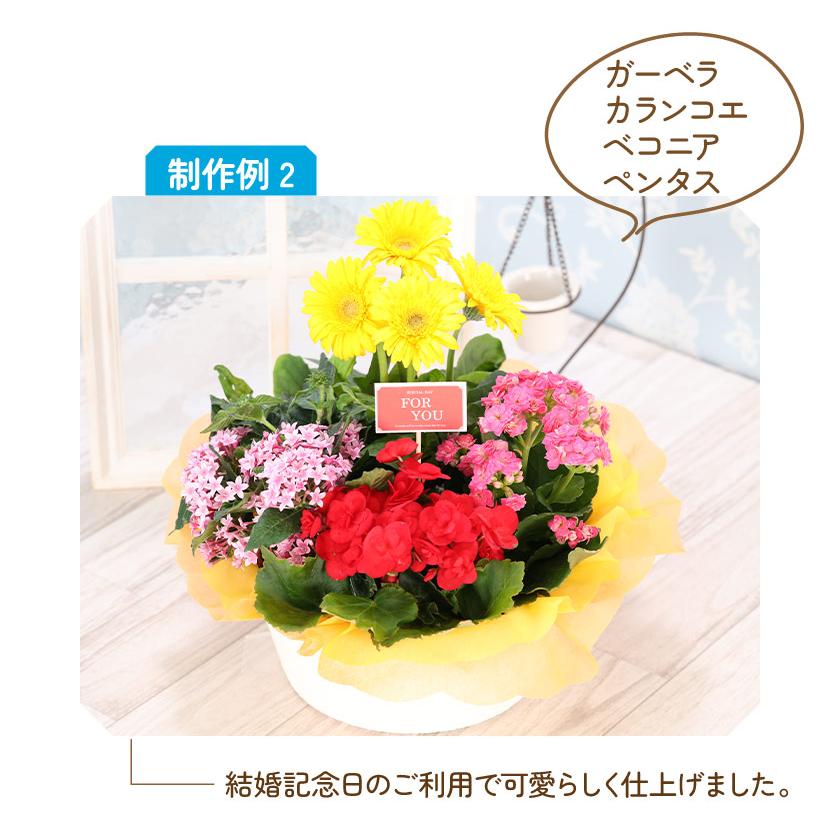 誕生日 花 プレゼント 2024 花鉢 ギフト ピック付き 4種でつくるおまかせ花かご 敬老の日｜hana-kusamusubi｜04