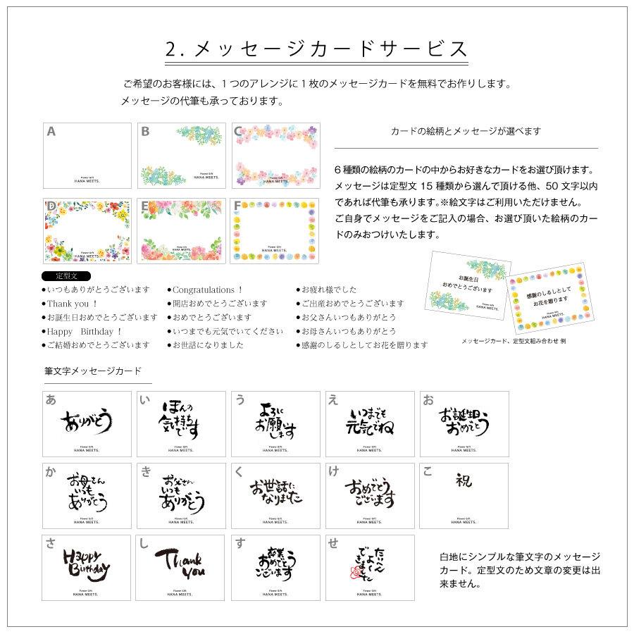 プリザーブドフラワー クリアケース入り ギフト プレゼント アレンジ 誕生日 贈り物 おしゃれ 結婚 お祝い 送料無料 ハナミーツ 手作り ヴィユーヌ M 1100 Flower Gift Hana Meets 通販 Yahoo ショッピング