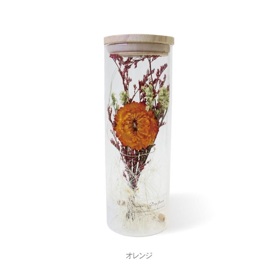 Ledドライフラワーボトル ライト 自宅 プレゼント 誕生日 インテリア おしゃれ 雑貨 Led ハナミーツ ドライフラワー ガラスボトル M 50 Flower Gift Hana Meets 通販 Yahoo ショッピング