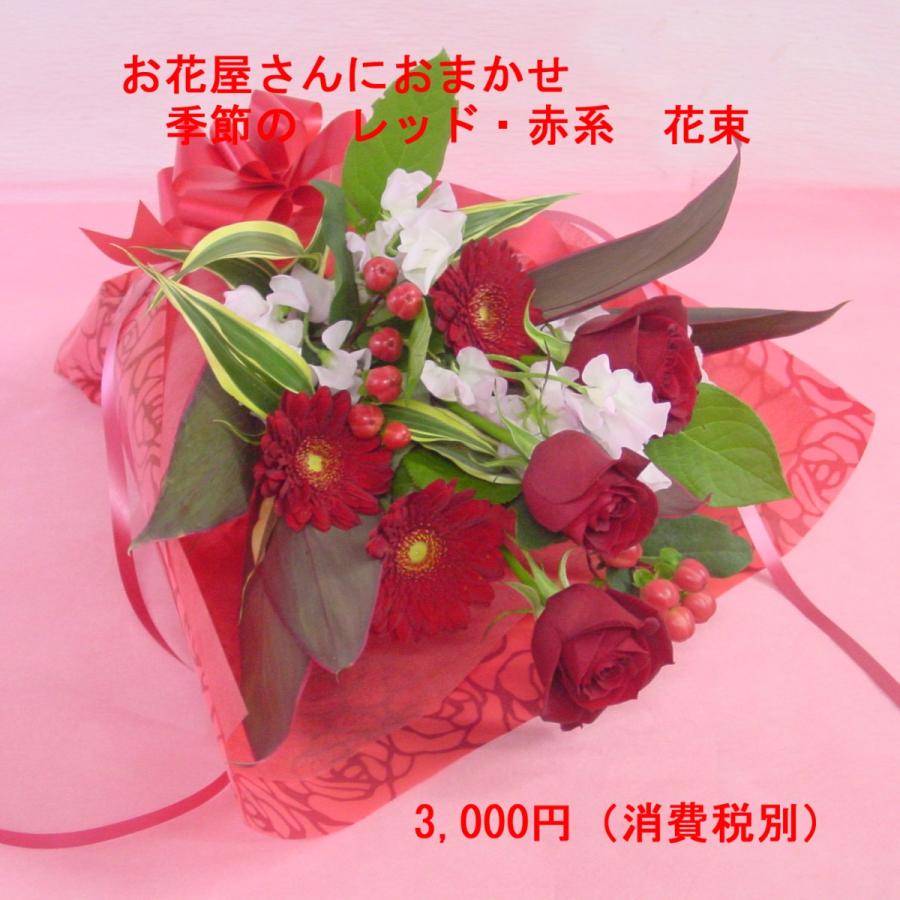 レッド 赤系 花束 短めタイプ ブーケ風 お花屋さんにおまかせ フラワーギフト H Red 003 アトリエ花みずき Yahoo 店 通販 Yahoo ショッピング