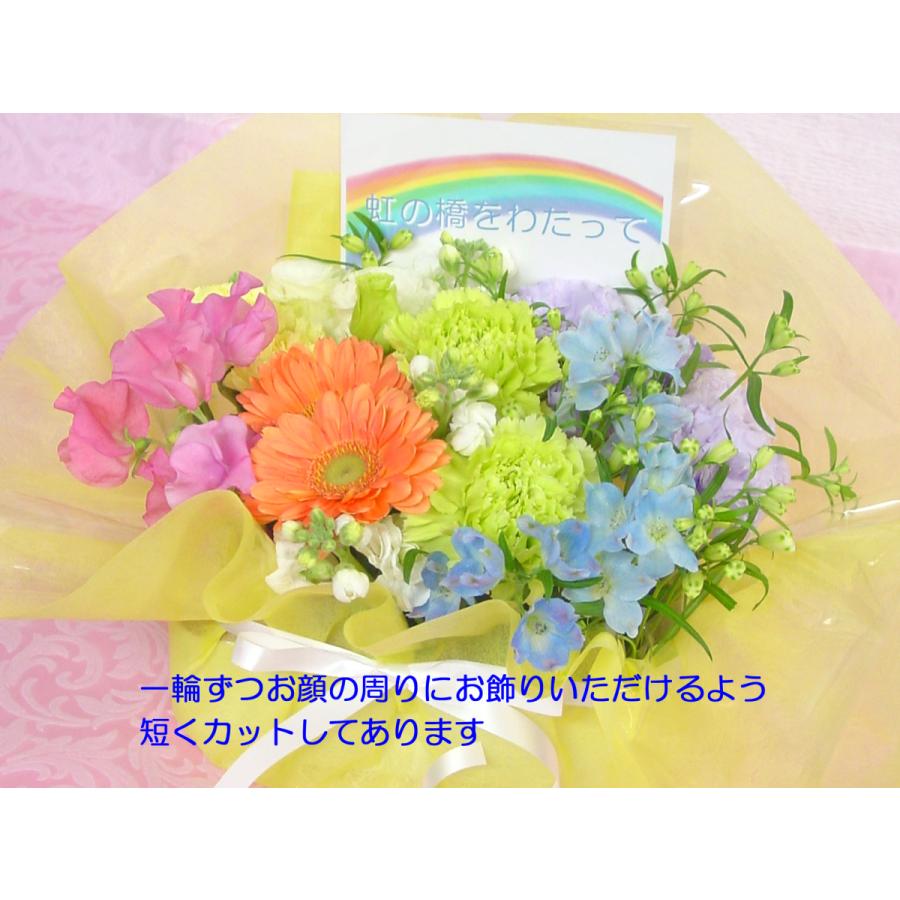 お別れのお花 棺のお花 花箱 花盆 火葬前にひつぎの中に入れるお別れのお花 虹色 にじ レインボー