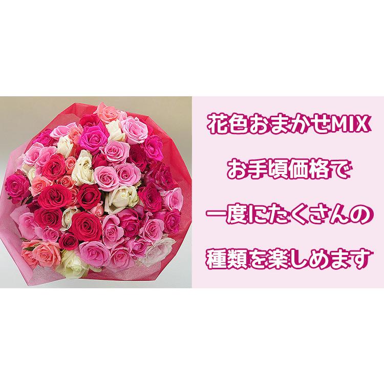 バラ 花束 50本 カラフルミックス カジュアルサイズ お祝い 誕生日