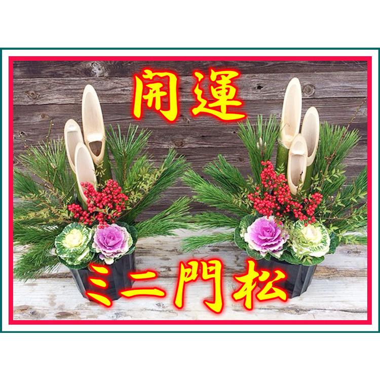 門松 新年に開運込めて 国産天然素材 どこでも飾れる 55センチ 幸運が