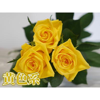 バラ花束 20本〜本数指定 1本200円 108本まで プロポーズ 記念日