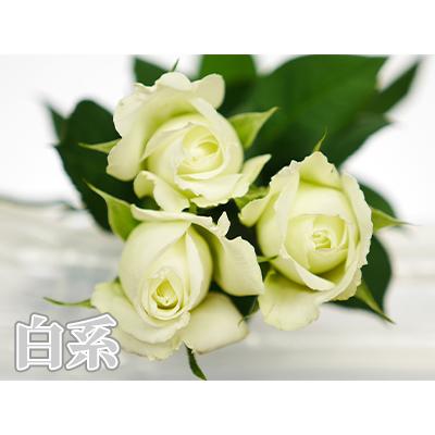 バラ花束 20本〜本数指定 1本200円 108本まで プロポーズ 記念日