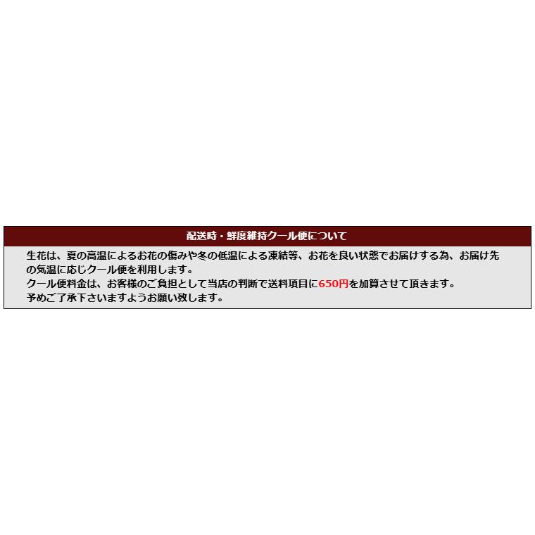 バラ 花束 20本 3980円 100本まで本数指定可 選べる4色 赤バラ 花 ピンク 黄色 白バラ 誕生日 父の日 記念日 お祝い かすみ草追加可 |  | 10