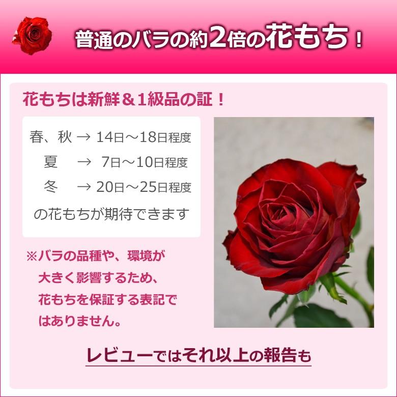 バラの花束 結婚記念日 誕生日のプレゼントに 赤以外品種 Redflance バラ シクラメンのhana Rug 通販 Yahoo ショッピング