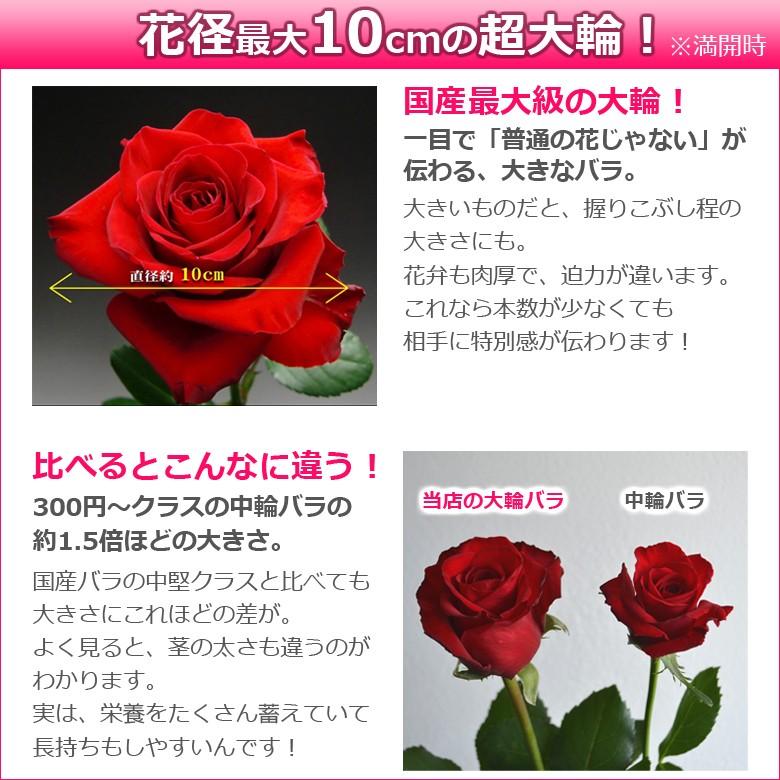 大輪バラ1本box 薔薇の花束を結婚記念日 誕生日のプレゼントに Redflance Sb シクラメン バラの花束 Hana Rug 通販 Yahoo ショッピング