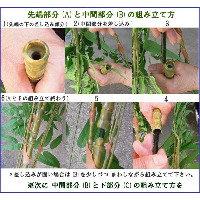 【地鎮祭用4本組 送料無料】240cm 地鎮祭用 バンブー   笹(組立式 3分割)3989-240-4｜hana0756｜06