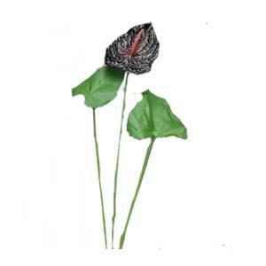 全長約50cm アンスリューム ｂｕｒ のみ P5964 P5964 造花の店azuma ヤフー店 通販 Yahoo ショッピング