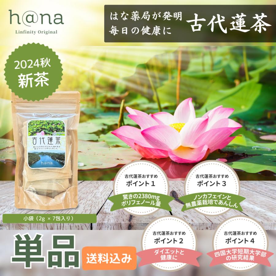 古代蓮茶 7包入り（ポリフェノールたっぷりな健康茶）【単品 