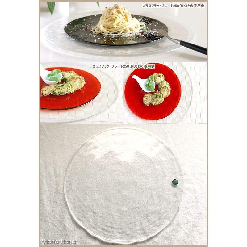 ADERIA 食器 ガラス食器 皿 大皿 平皿 ガラス ガラスプレート 丸 ADERIA 食器 ガラス食器 皿 大皿 平皿 ガラス ガラスプレート 丸
