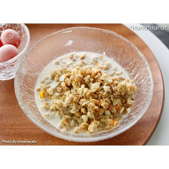 津軽びいどろ 食器 ガラス食器 中鉢 浅鉢 ボウル サラダボウル
