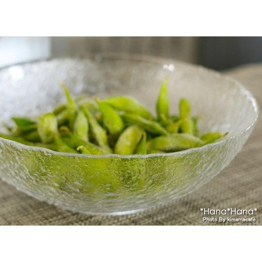 津軽びいどろ 食器 ガラス食器 大鉢 ボウル 麺鉢 盛鉢 そうめん鉢