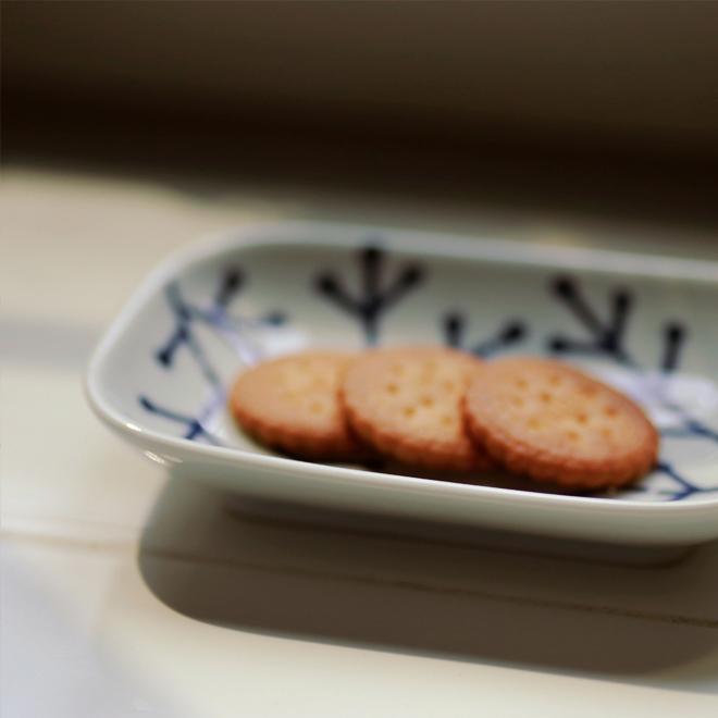 波佐見焼 エボトラ ナッツ 長角 小皿 12.5cm×9cm おしゃれ 食器 皿 角