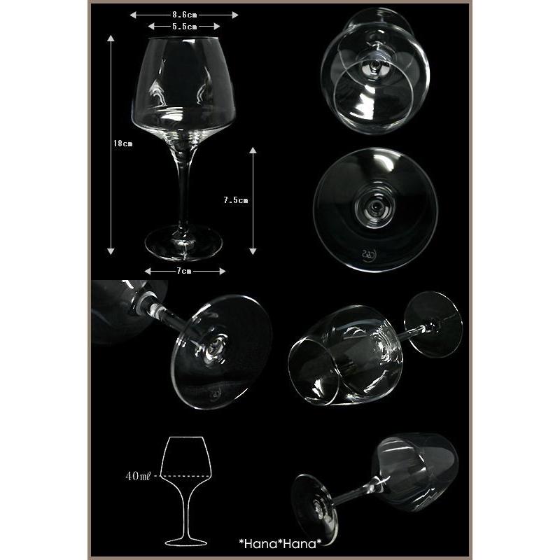 アルクインターナショナル オープンナップ タニック クウォークス (6個入り) アルクインターナショナル 食器 グラス ワイングラス シンプル