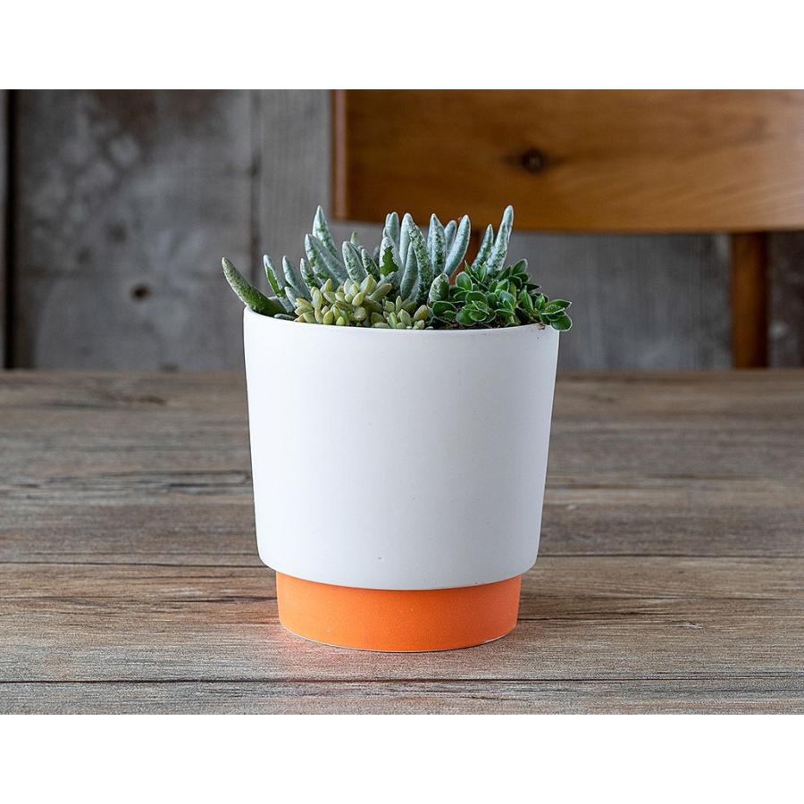 magma “MGM LARDER” プランター　鉢植え　マグマ プランター マグネシアプランター テクスチャー 角型 50cm