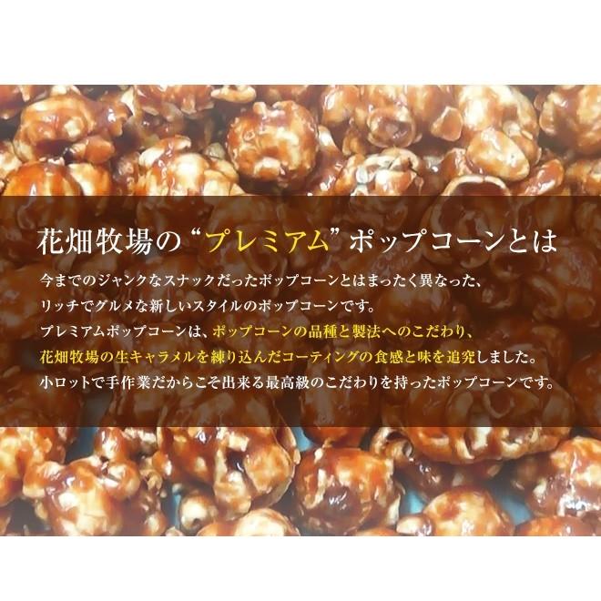 売れ筋 花畑牧場 生キャラメルプレミアムポップコーン 生キャラメル 100g 冷蔵配送 Materialworldblog Com