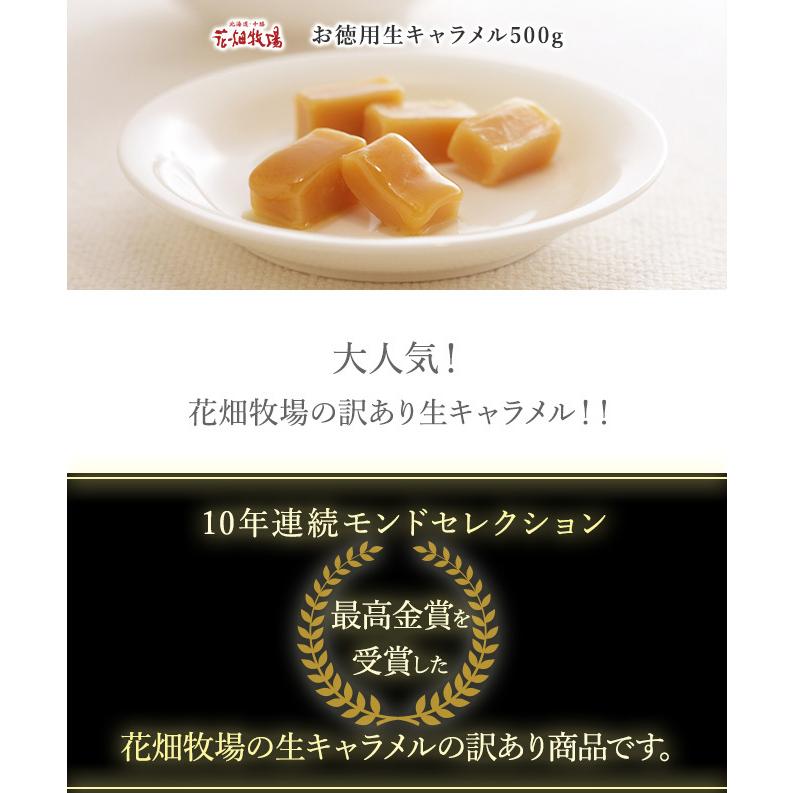 花畑牧場 お徳用生キャラメルプレーン500g【冷凍配送】 :180602:北海道・十勝 花畑牧場 Yahoo!店 - 通販 - Yahoo!ショッピング